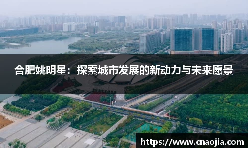 合肥姚明星：探索城市发展的新动力与未来愿景