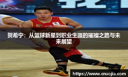 贺希宁：从篮球新星到职业生涯的璀璨之路与未来展望