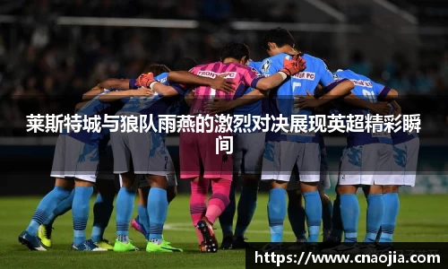 莱斯特城与狼队雨燕的激烈对决展现英超精彩瞬间